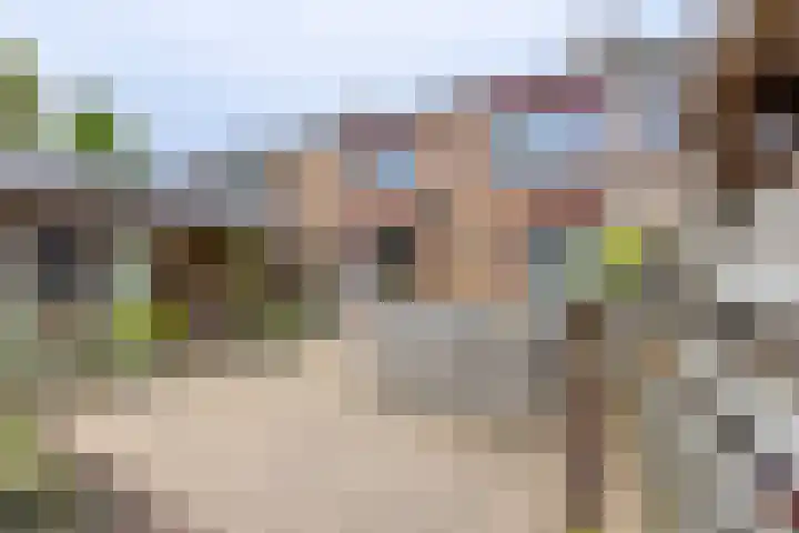 IJsvogelstraat 26 Hank thumbnail 12