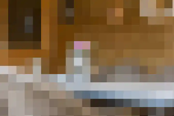 IJsvogelstraat 26 Hank thumbnail 13