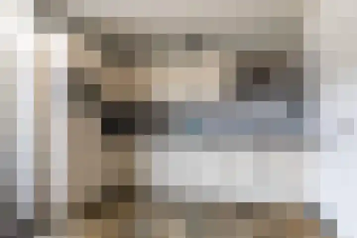IJsvogelstraat 26 Hank thumbnail 14