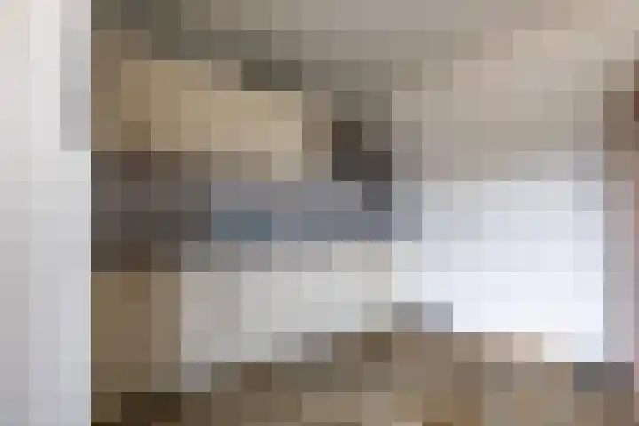 IJsvogelstraat 26 Hank thumbnail 16