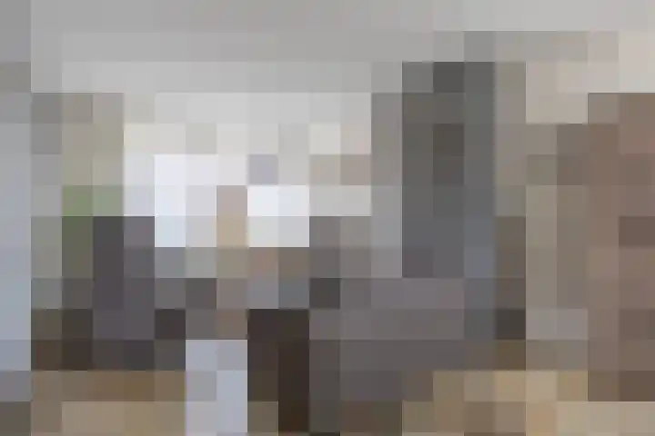 IJsvogelstraat 26 Hank thumbnail 17