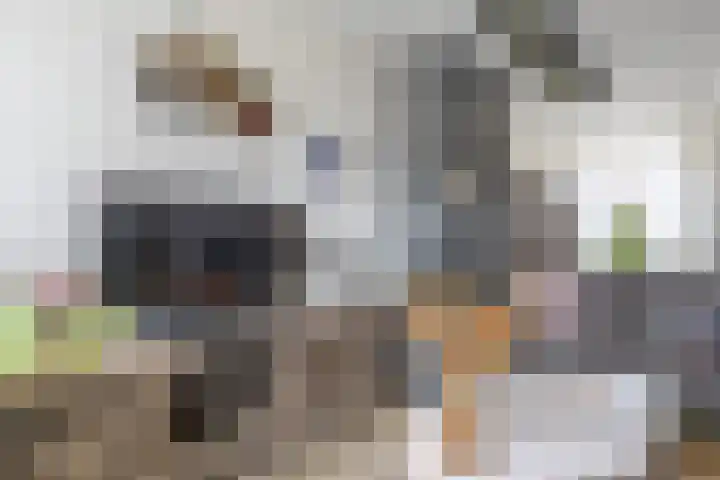 IJsvogelstraat 26 Hank thumbnail 19