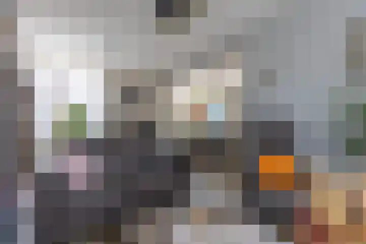 IJsvogelstraat 26 Hank thumbnail 21