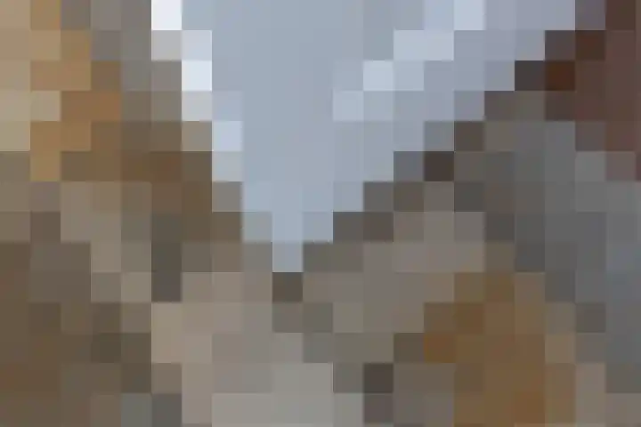 IJsvogelstraat 26 Hank thumbnail 22
