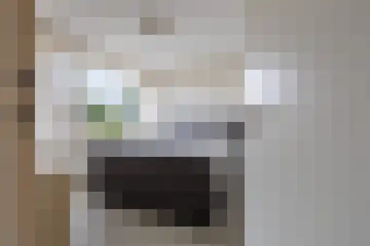 IJsvogelstraat 26 Hank thumbnail 24