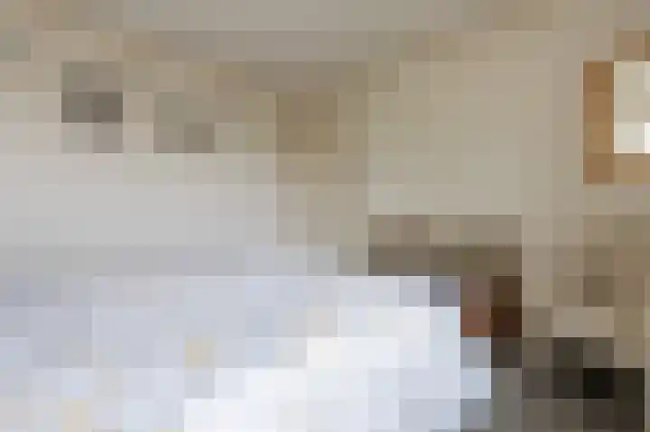 IJsvogelstraat 26 Hank thumbnail 25