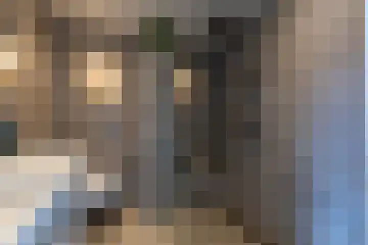 IJsvogelstraat 26 Hank thumbnail 26