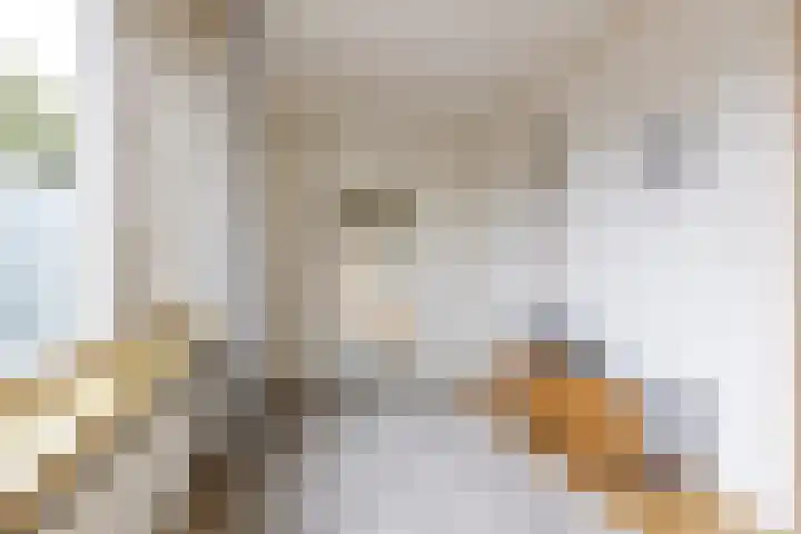 IJsvogelstraat 26 Hank thumbnail 33