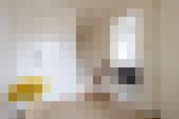 IJsvogelstraat 26 Hank thumbnail 35