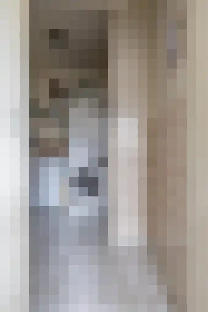 IJsvogelstraat 26 Hank thumbnail 36