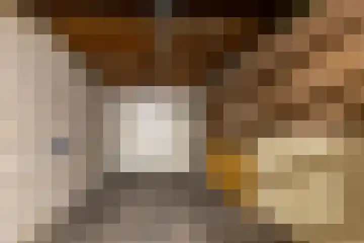 IJsvogelstraat 26 Hank thumbnail 37
