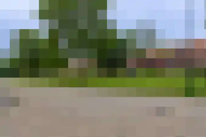 IJsvogelstraat 26 Hank thumbnail 39