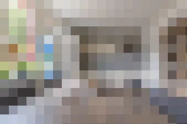 IJsvogelstraat 26 Hank thumbnail 6