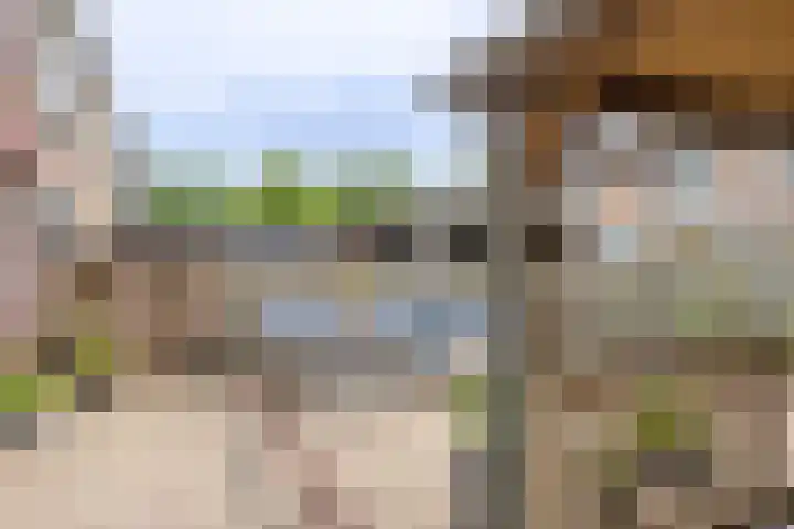 IJsvogelstraat 26 Hank thumbnail 7