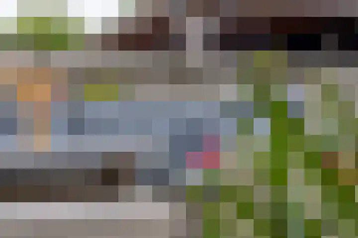IJsvogelstraat 26 Hank thumbnail 8