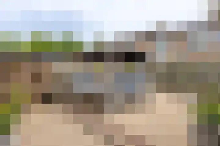 IJsvogelstraat 26 Hank thumbnail 9