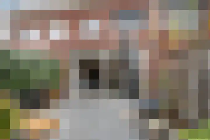 IJsvogelstraat 27 Vlaardingen thumbnail 13