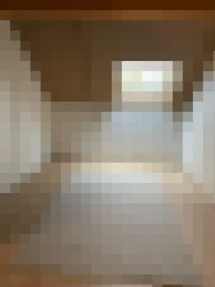 IJsvogelstraat 27 Vlaardingen thumbnail 33