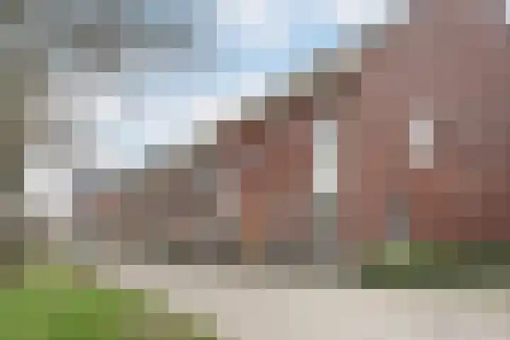 IJsvogelstraat 27 Vlaardingen thumbnail 5