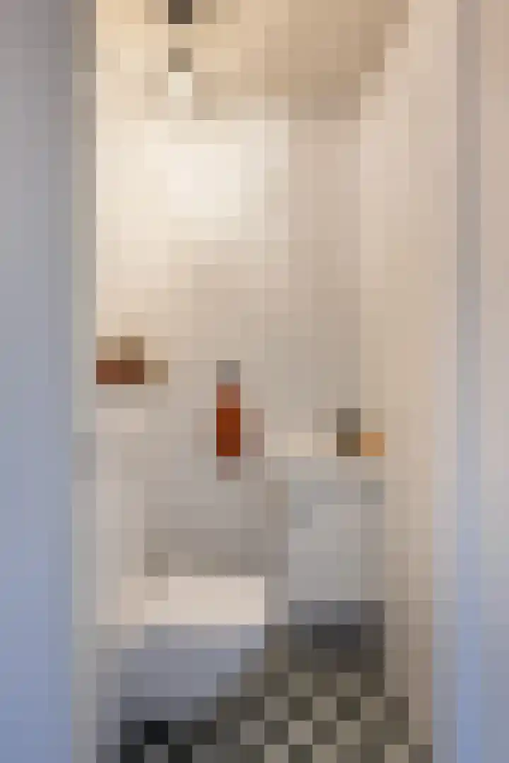 IJsvogelstraat 27 Vlaardingen thumbnail 9
