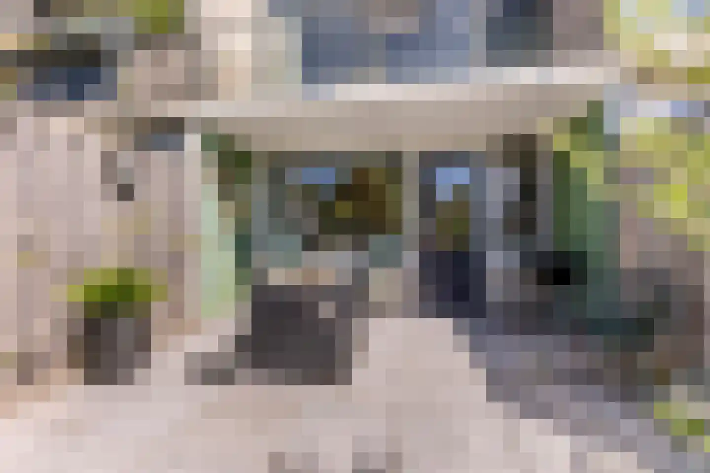 IJsvogelstraat 29 Wormer thumbnail 17
