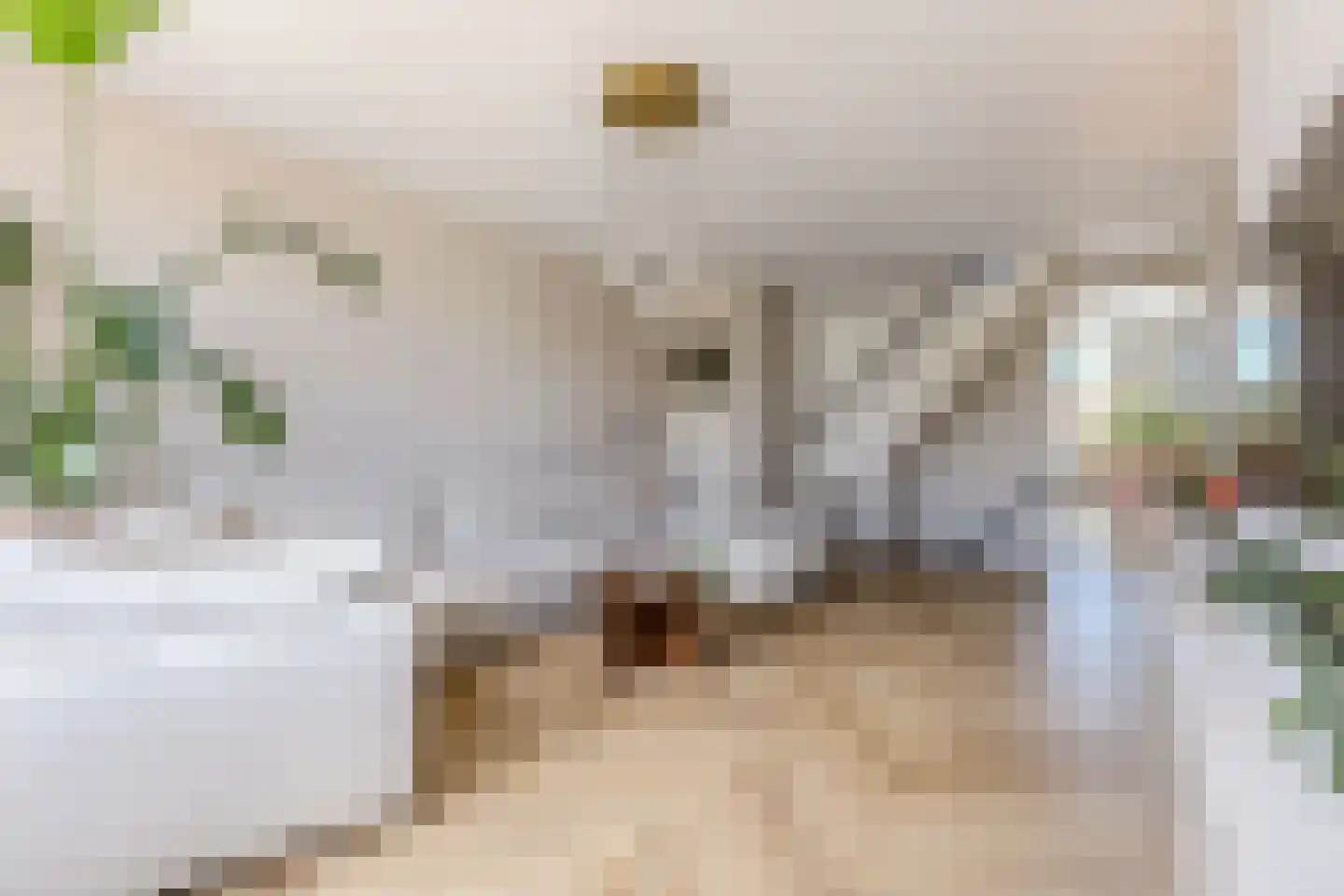IJsvogelstraat 29 Wormer thumbnail 5