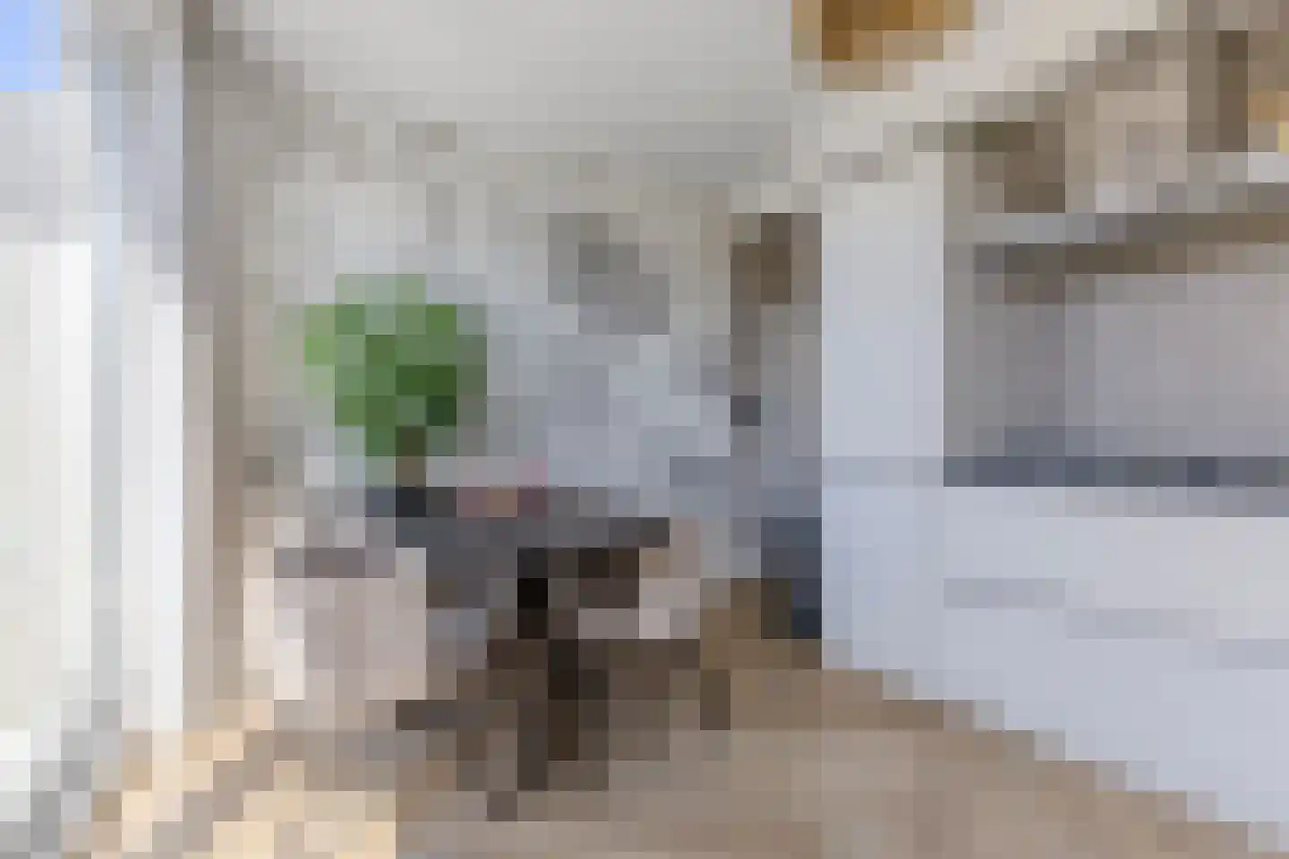 IJsvogelstraat 29 Wormer thumbnail 8