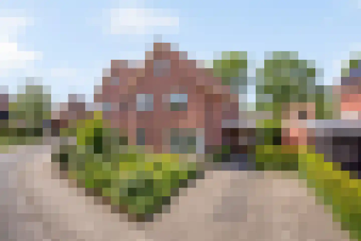 IJsvogelstraat 38 de Lutte