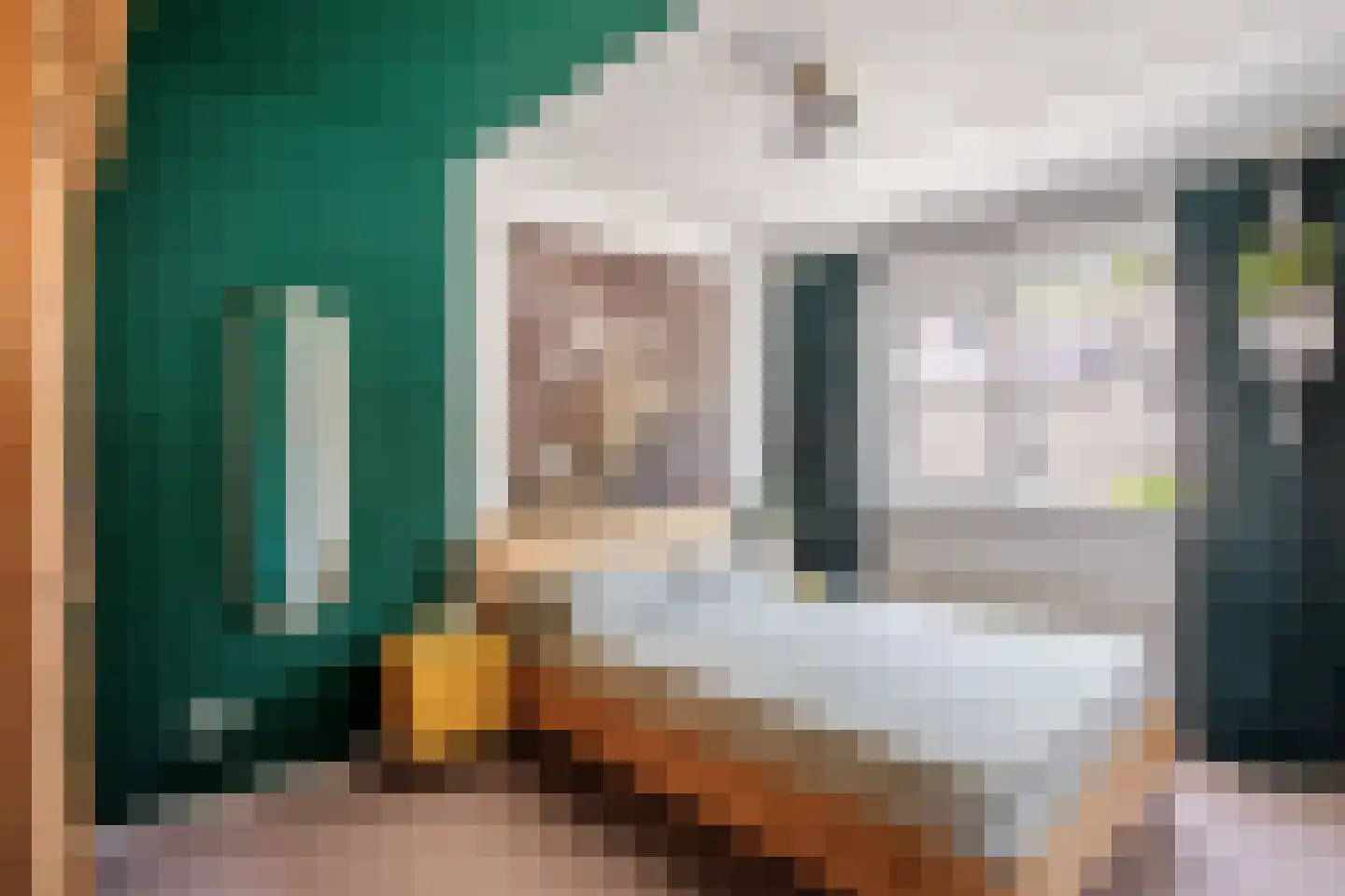 IJsvogelstraat 38 de Lutte thumbnail 14