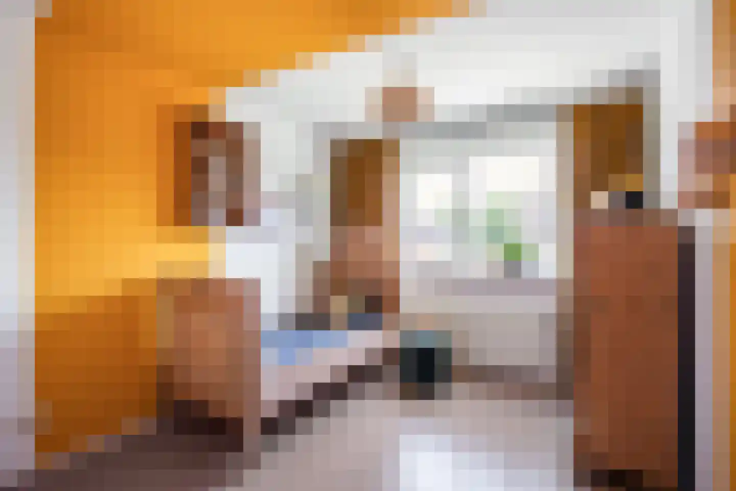 IJsvogelstraat 38 de Lutte thumbnail 15