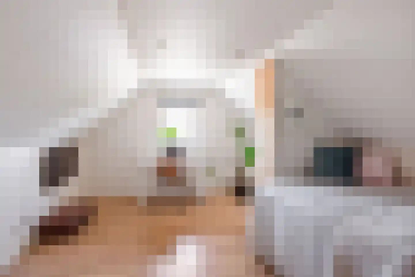IJsvogelstraat 38 de Lutte thumbnail 17
