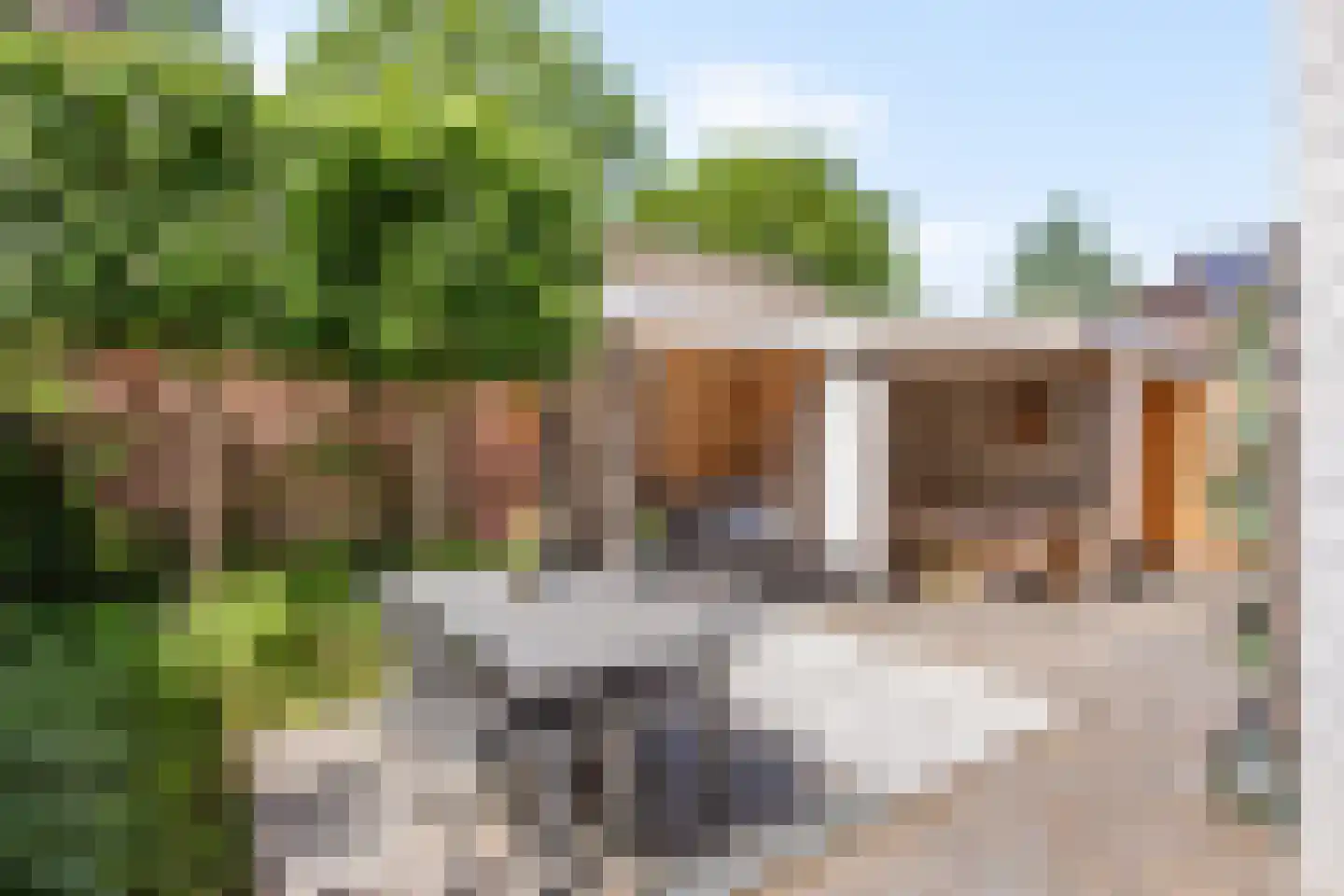 IJsvogelstraat 38 de Lutte thumbnail 19