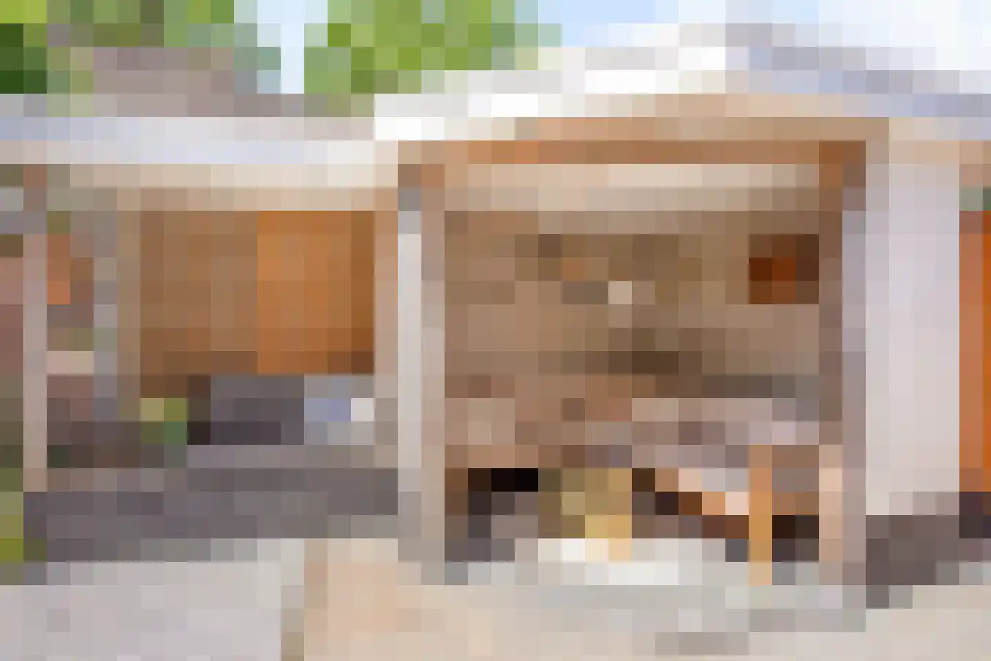 IJsvogelstraat 38 de Lutte thumbnail 20
