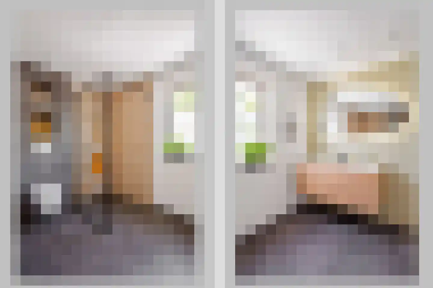 IJsvogelstraat 38 de Lutte thumbnail 4