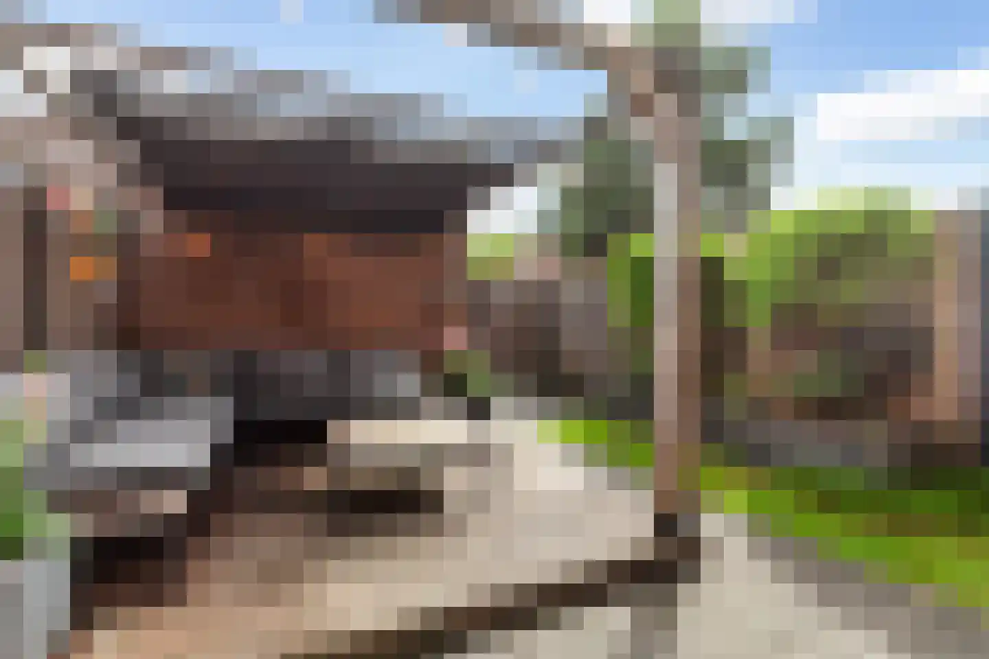 IJsvogelstraat 7 Vlaardingen thumbnail 11