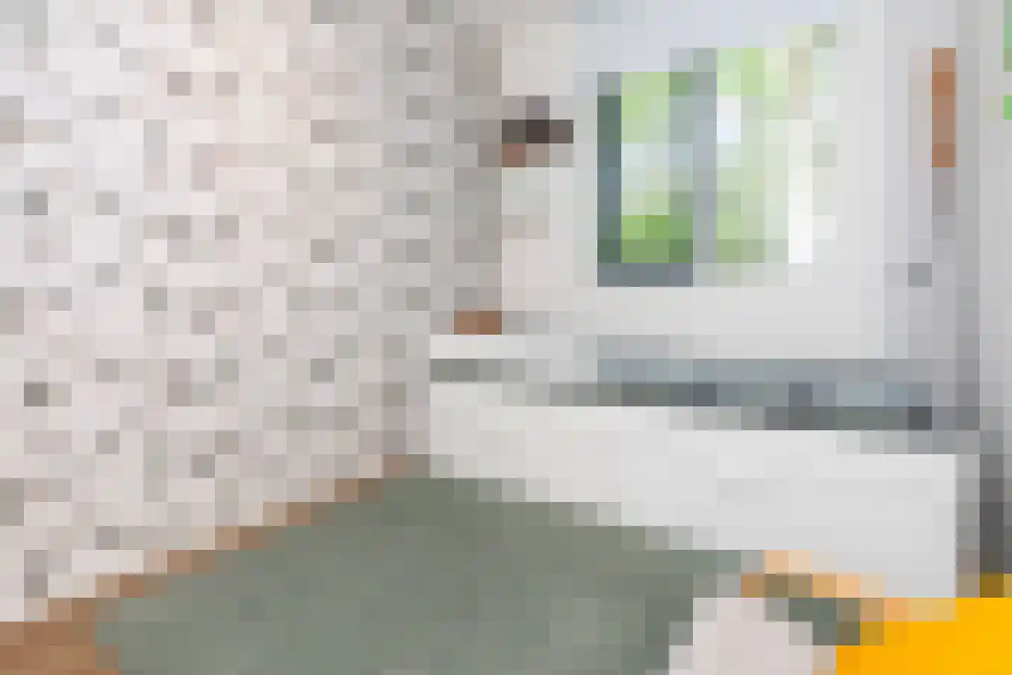 IJsvogelstraat 7 Vlaardingen thumbnail 31