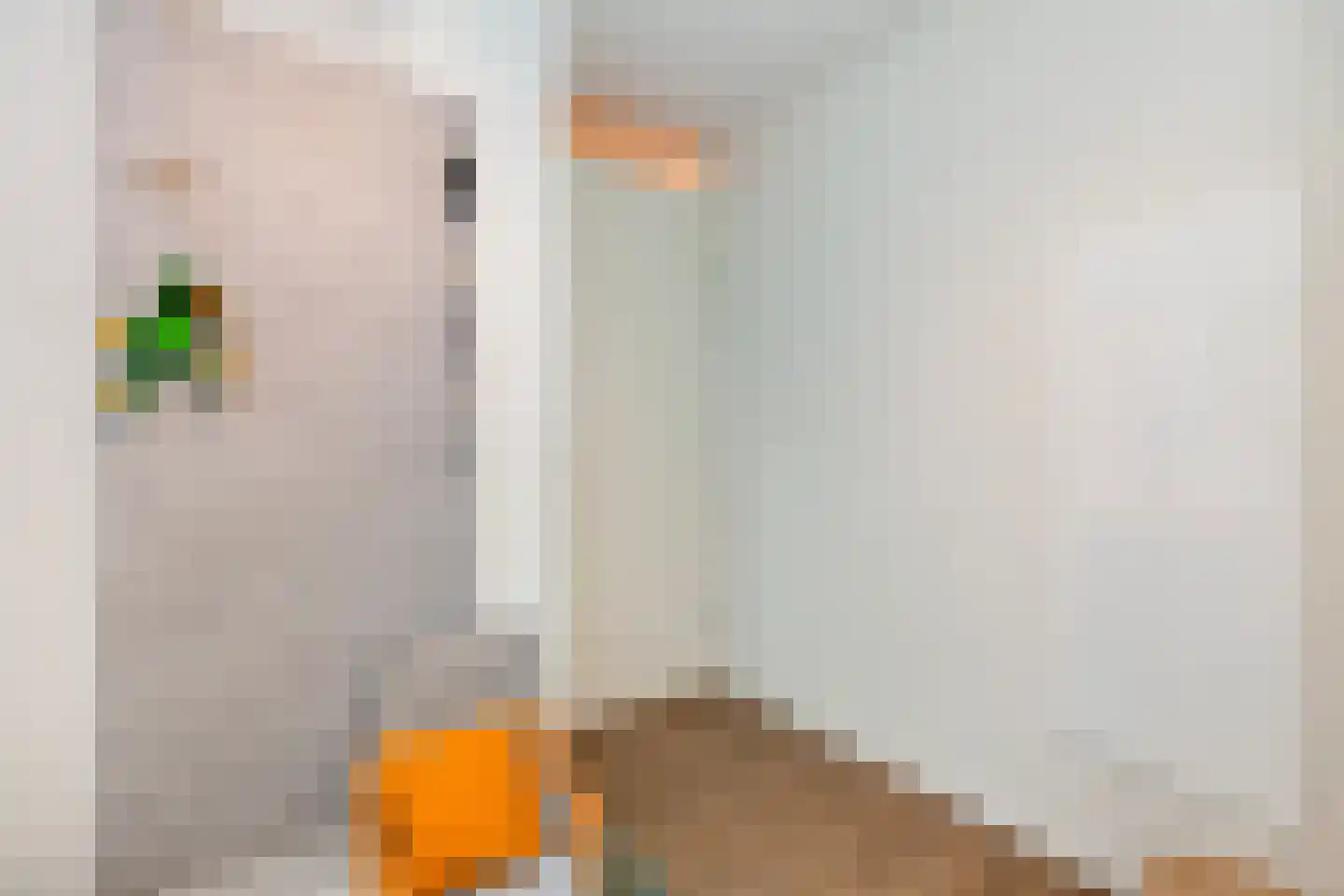 IJsvogelstraat 7 Vlaardingen thumbnail 32