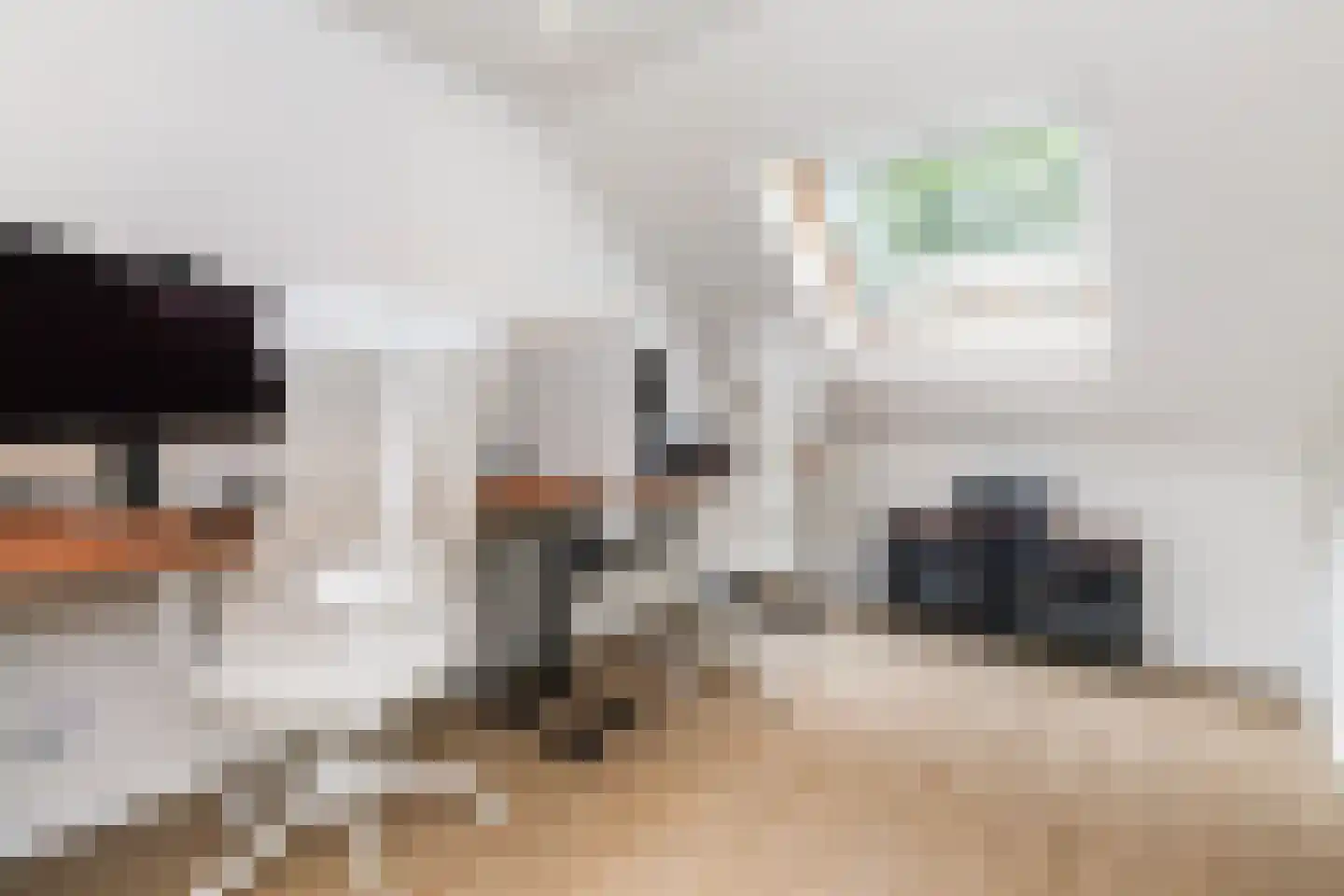 IJsvogelstraat 7 Vlaardingen thumbnail 37