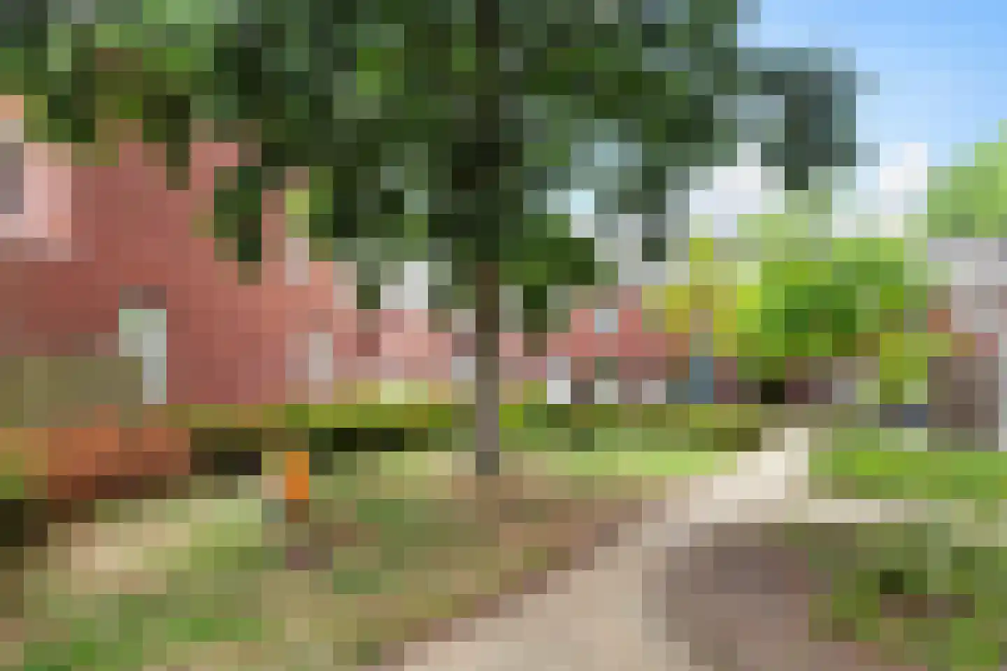 IJsvogelstraat 7 Vlaardingen thumbnail 41