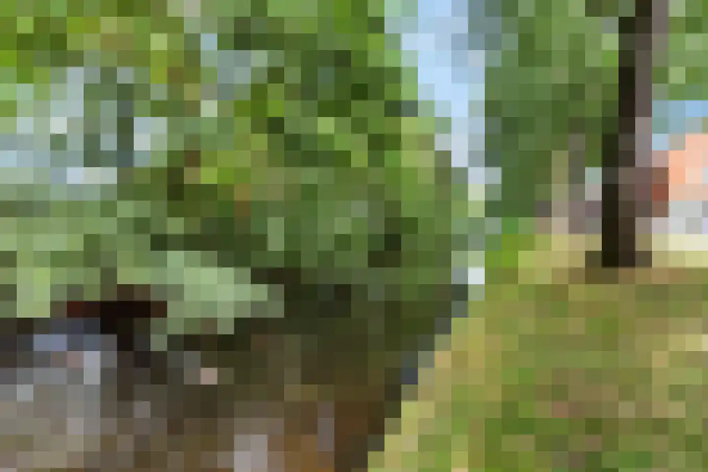 IJsvogelstraat 7 Vlaardingen thumbnail 44