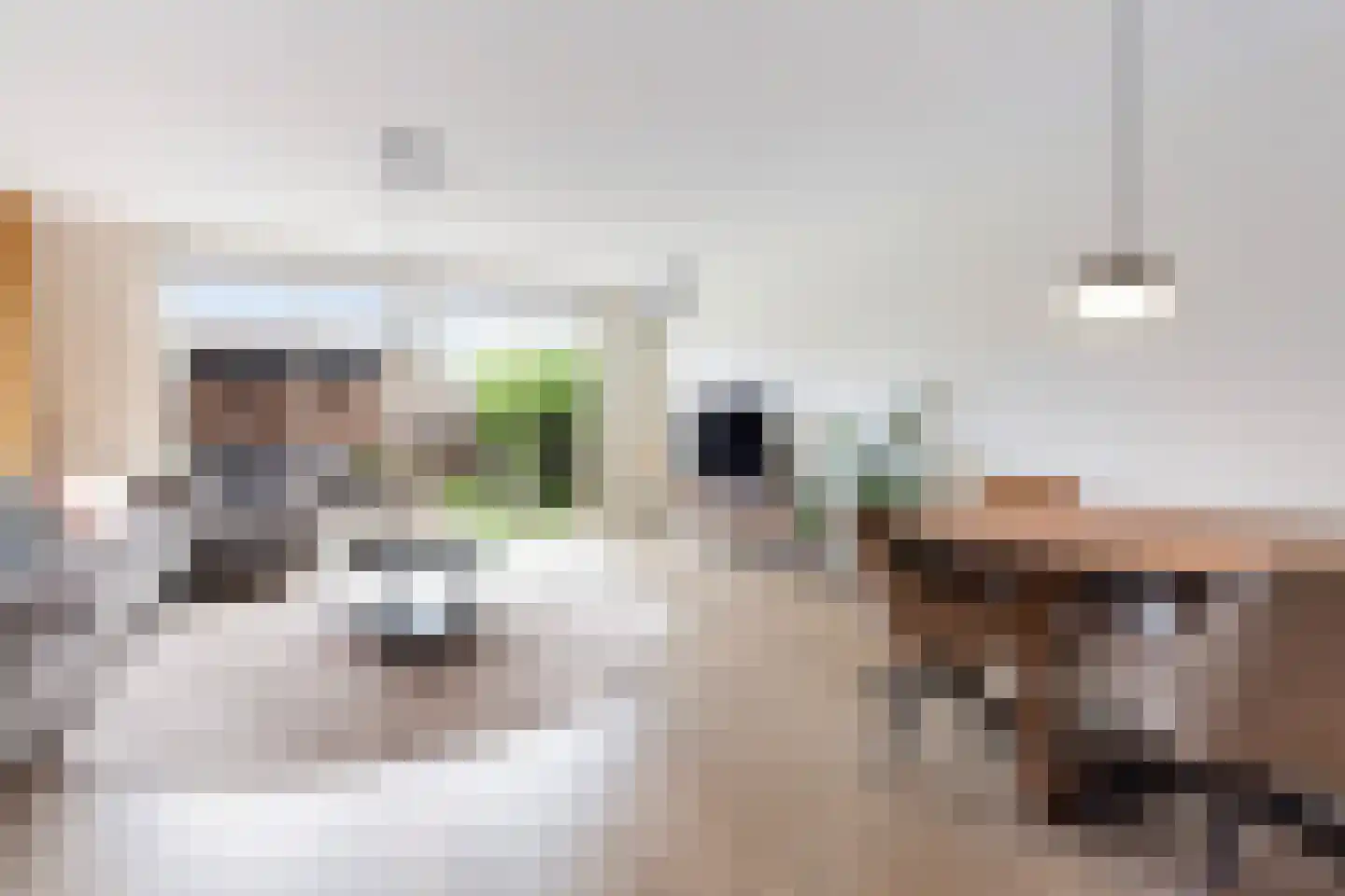 IJsvogelstraat 7 Vlaardingen thumbnail 8