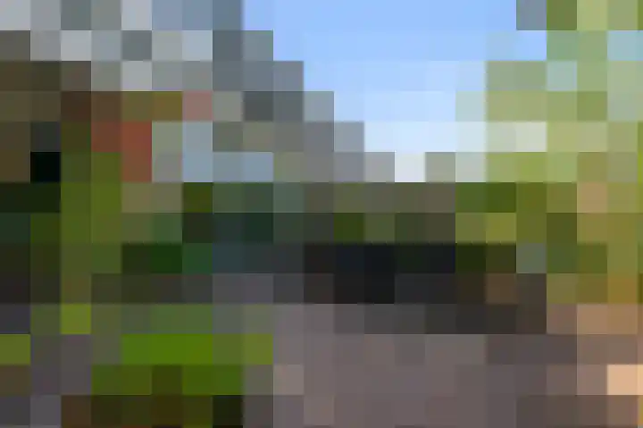IJsvogelstraat 73 Wormer thumbnail 10