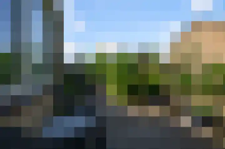 IJsvogelstraat 73 Wormer thumbnail 11