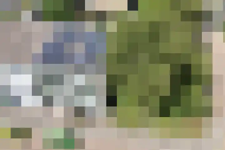 IJsvogelstraat 73 Wormer thumbnail 46