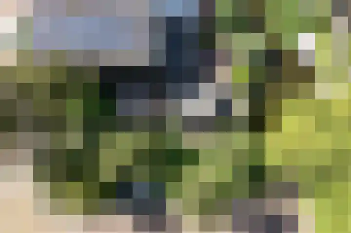 IJsvogelstraat 73 Wormer thumbnail 48