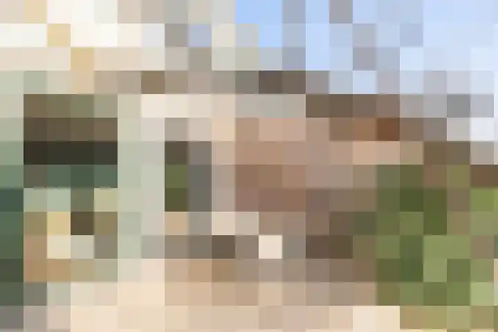 IJsvogelstraat 9 Aalsmeer thumbnail 27
