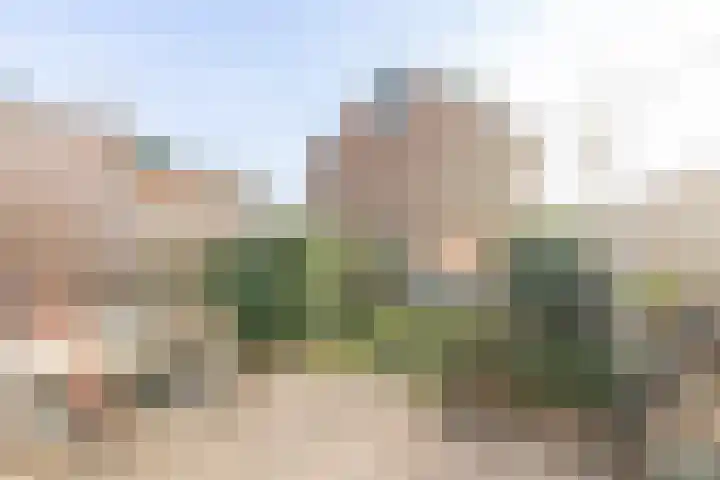 IJsvogelstraat 9 Aalsmeer thumbnail 28