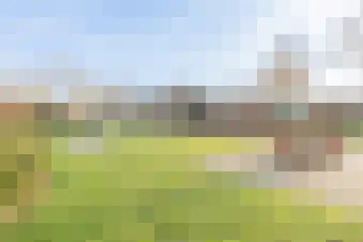 IJsvogelstraat 9 Aalsmeer thumbnail 33