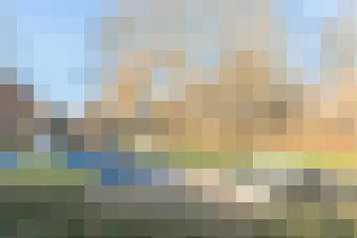 IJsvogelstraat 9 Aalsmeer thumbnail 34