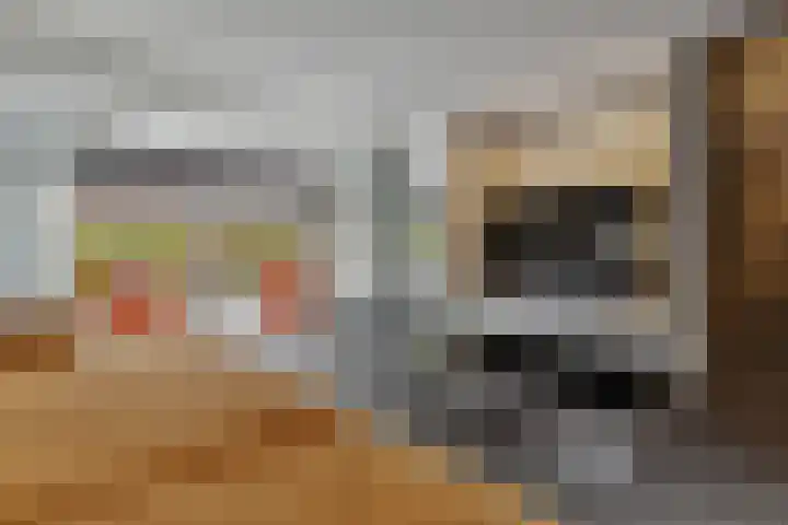 IJsvogelstraat 9 Dongen thumbnail 12